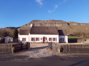 Willow Cottage Accommodation F91X0C8